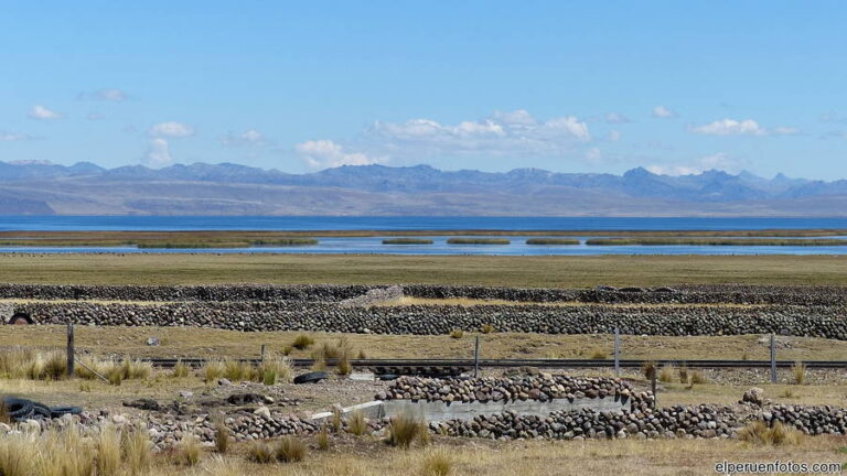 lago junin 001